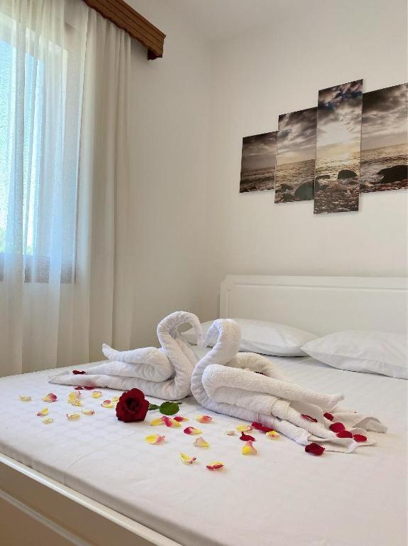 Arlind'S Apartaments Vlorë 외부 사진